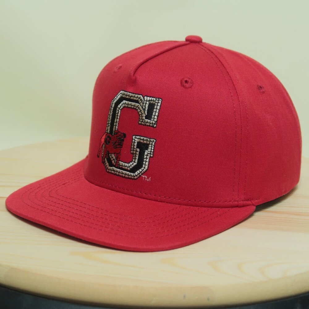Mitchell & Ness Cactus Jack Travis Scott Georgia Bulldogs Hat Mens Red New